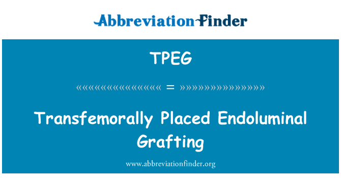 TPEG: Transfemorally 配置腔内移植