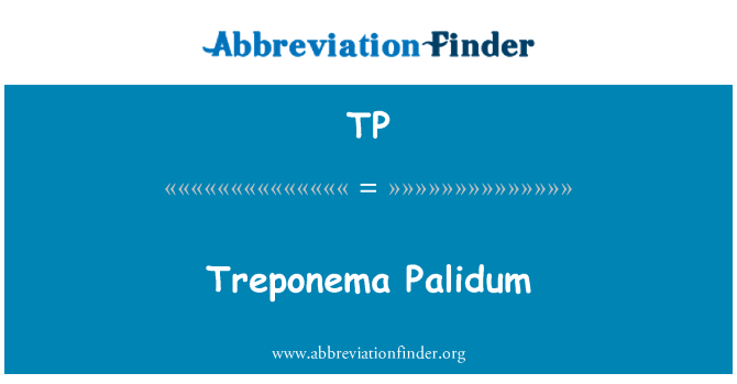 TP: Treponema Palidum