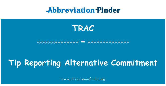 TRAC: 提示本報告所述的替代承諾