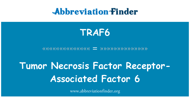 TRAF6: Tumora nekrozes faktors saistīto receptoru Factor 6