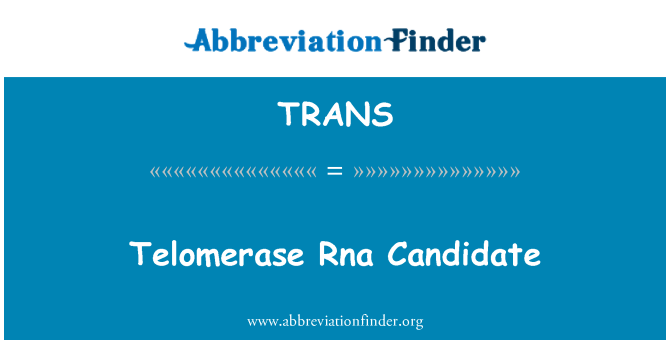 TRANS: Telomerase l' kandida