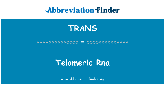 TRANS: Telomeric Rna