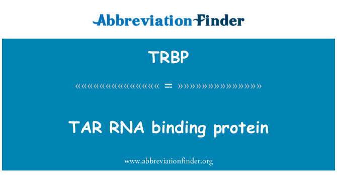 TRBP: 焦油 RNA 結合蛋白