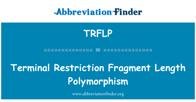 TRFLP: Terminál délky restrikčních fragmentů