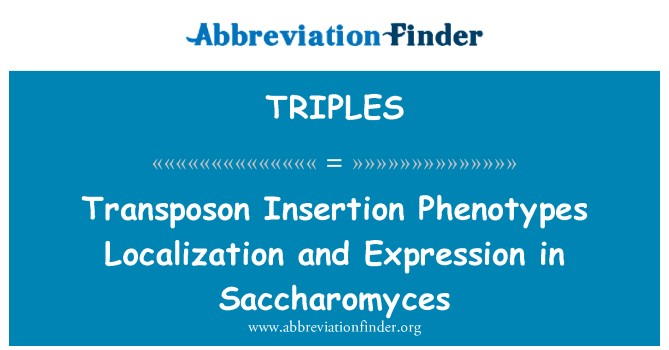 TRIPLES: Transposon invoeging fenotypen lokalisatie en expressie in Saccharomyces