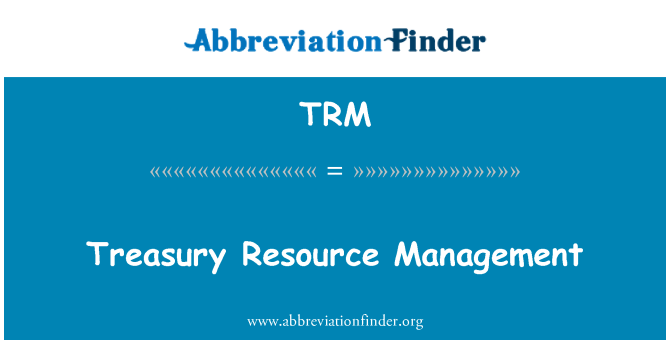 TRM: Managementul de resurse de trezorerie