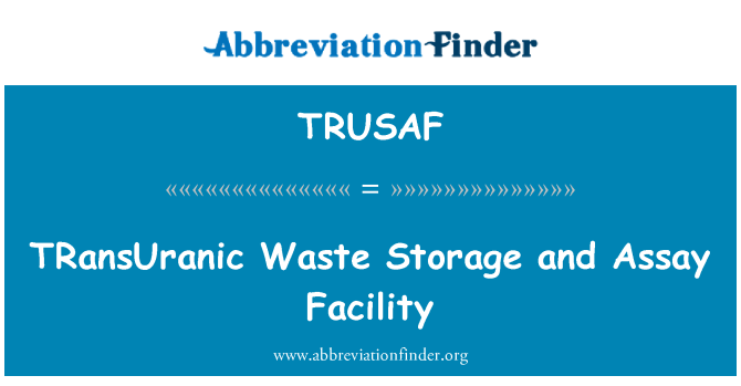 TRUSAF: TRansUranic Waste Storage and Assay Facility