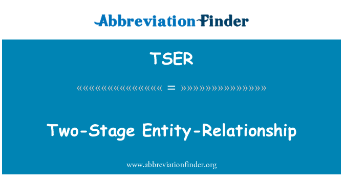TSER: 兩級實體關聯