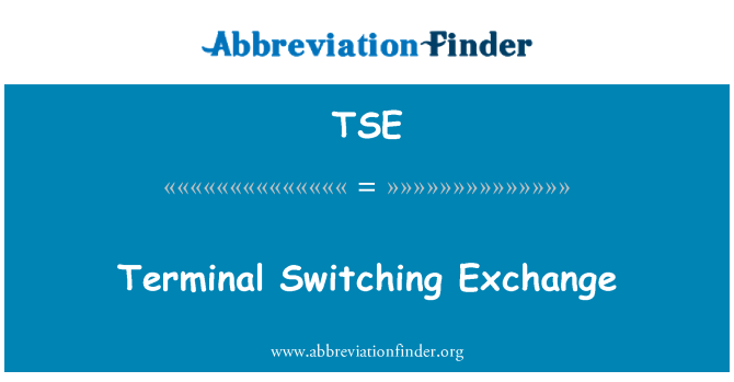 TSE: Terminál kapcsolási Exchange