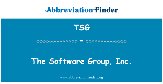 TSG: The Software Group, Inc.