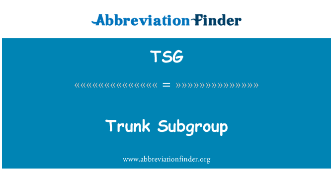 TSG: Subgrupul de portbagaj