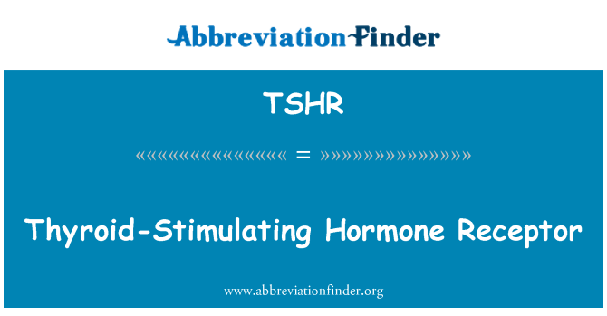 TSHR: Thyroid - stimulerende Hormone reseptor