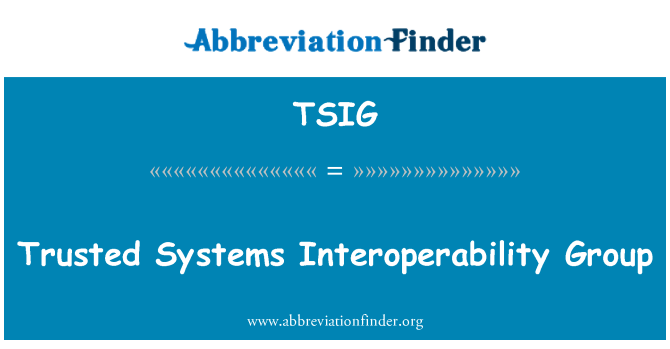 TSIG: Pålitelige systemer interoperabilitet gruppe