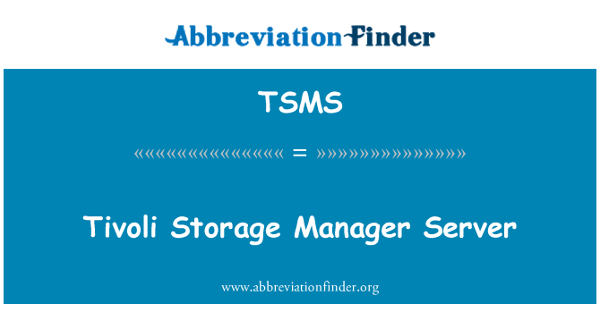 TSMS: Tivoli Storage Manager-Server