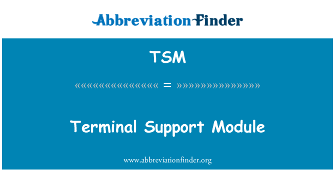 TSM: Terminál támogatás-modul