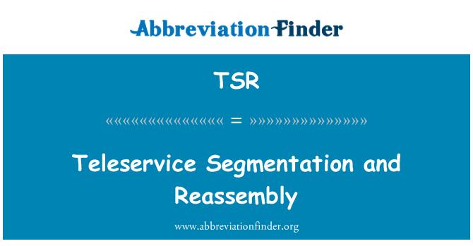 TSR: Teleservizz segmentazzjoni u ri-Assemblea