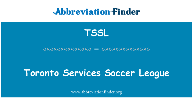 TSSL: Toronto Services Soccer League