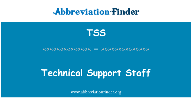 TSS: Mitarbeiter des technischen Supports