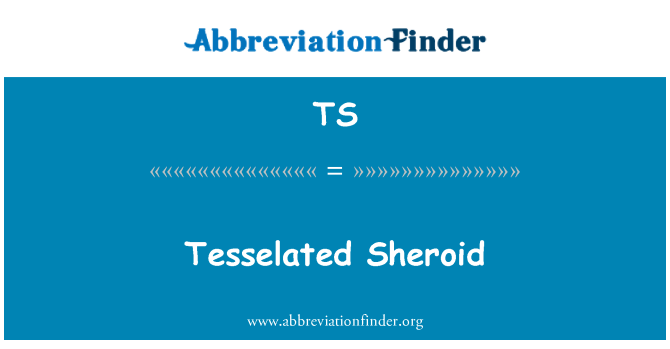 TS: Tesselated Sheroid