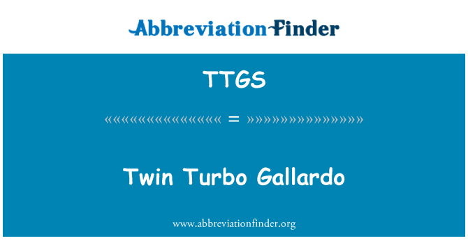TTGS: Twin Turbo Gallardo