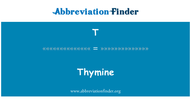 T: Thymin