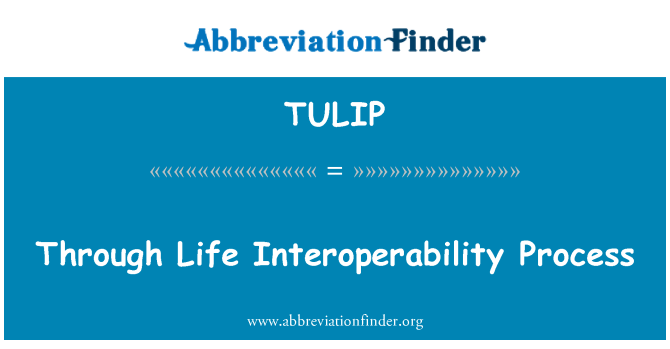 TULIP: Život Interoperability procesem