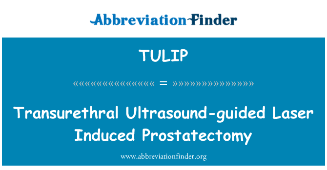 TULIP: Transuretraalset ultraheli-juhitud Laser indutseeritud prostatektoomia