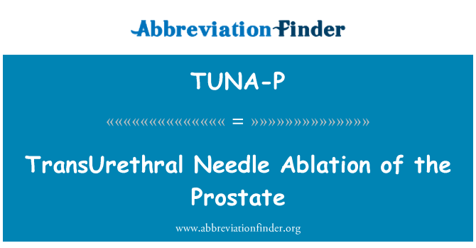 TUNA-P: Transuretrální jehlová ablace prostaty