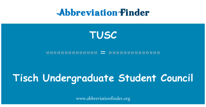 TUSC: Tisch Undergraduate studentenraad