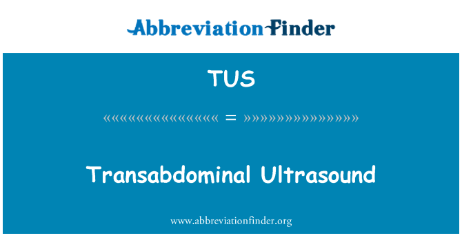 TUS: Transabdominal 초음파