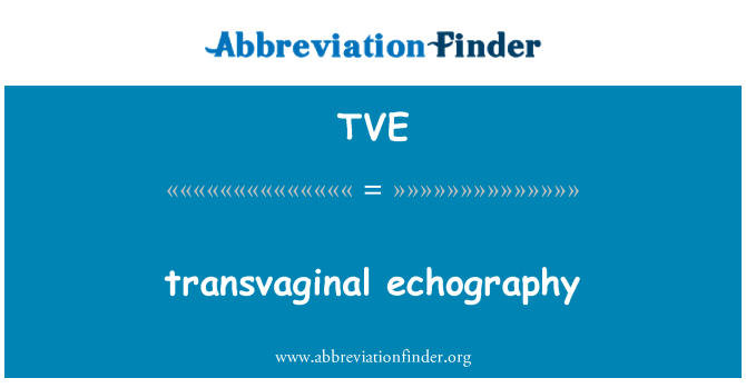 TVE: transvaginal echography