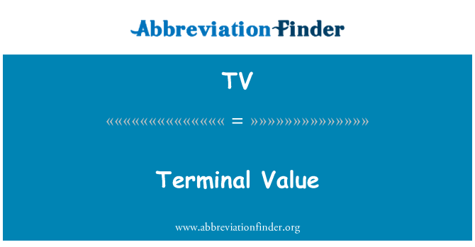 TV: 터미널 값