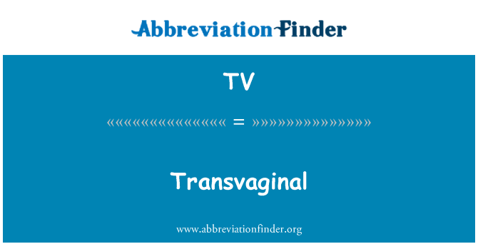TV: Transvaginale