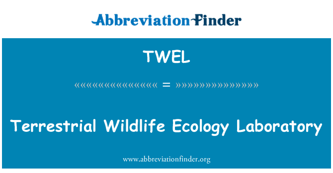 TWEL: Terrestrial Wildlife Ecology Laboratory