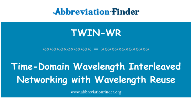 TWIN-WR: 时间域波长交错与波长重用的网络