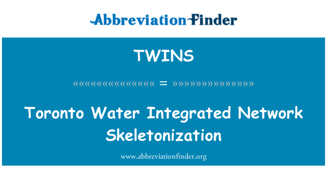 TWINS: Toronto Water geïntegreerd netwerk Skeletonization