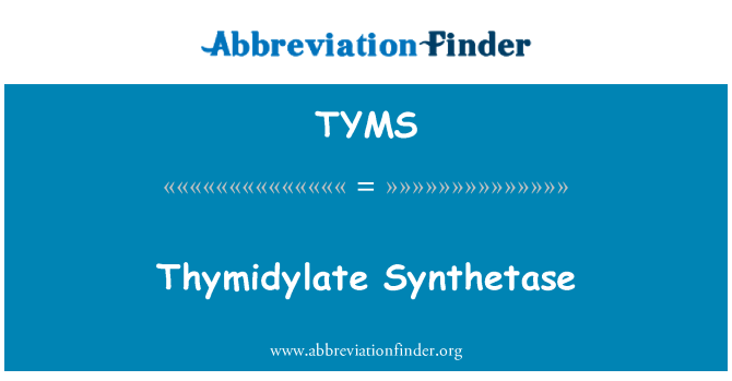 TYMS: Thymidylate-синтетаза