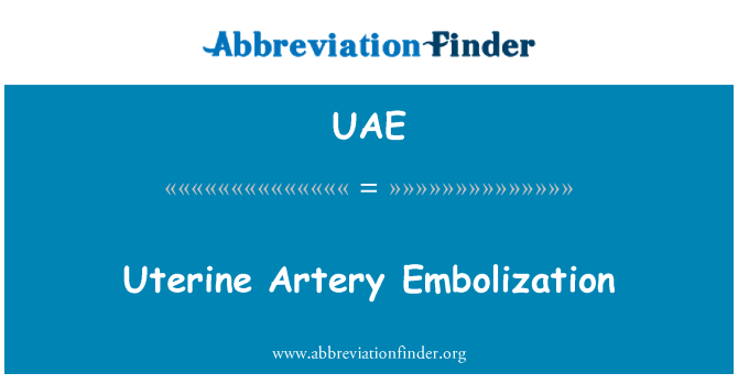 UAE: Uterine Artery Embolization