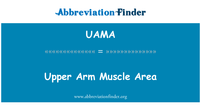 UAMA: Oberarm Muskel Bereich