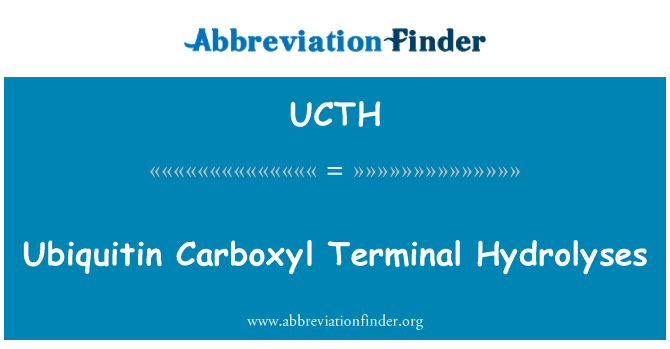 UCTH: Hydrolyses ubiquitin Carboxyl Terminal