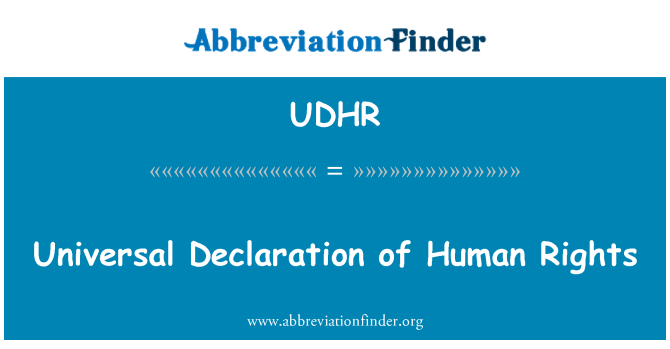 UDHR: 世界人权宣言 》