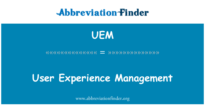 UEM: 사용자 경험 관리