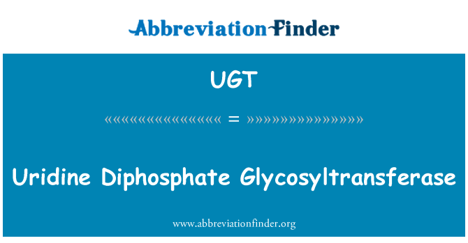 UGT: Uridine Diphosphate Glycosyltransferase