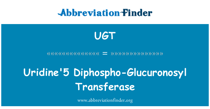 UGT: Transferase Diphospho-Glucuronosyl uridine, la 5