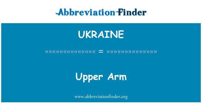 UKRAINE: Partie supérieure du bras