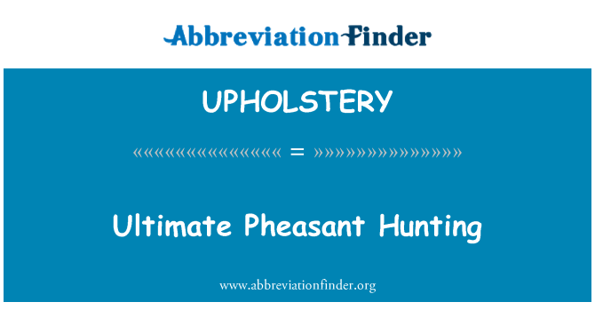 UPHOLSTERY: ציד פסיונים האולטימטיבי