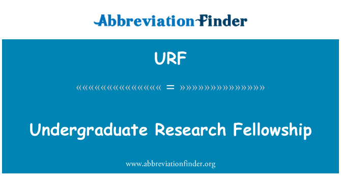 URF: Undergraduate Research Fellowship