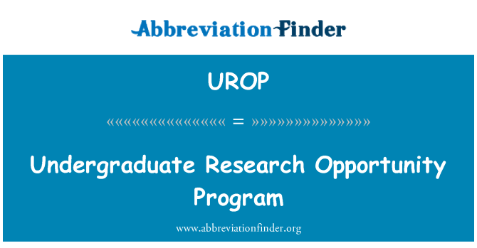 UROP: Undergraduate Research Opportunity Program