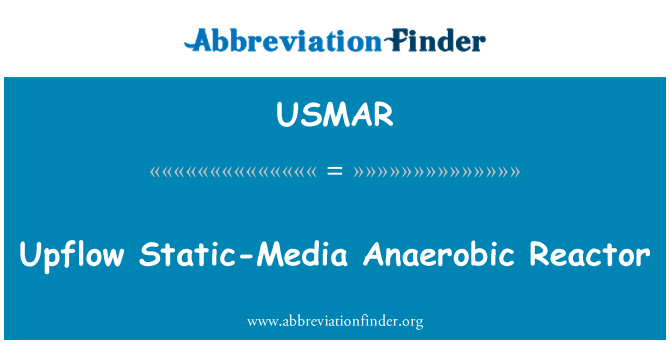 USMAR: Réacteurs en Upflow Statiques-medya