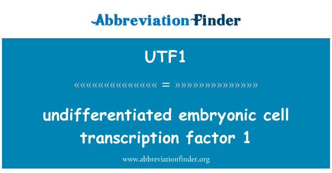 UTF1: factor de transcriere nediferenţiată de celule embrionare 1